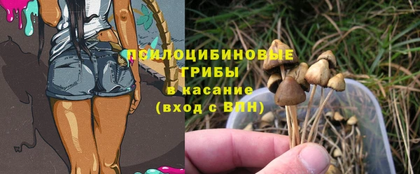 МДПВ Арсеньев