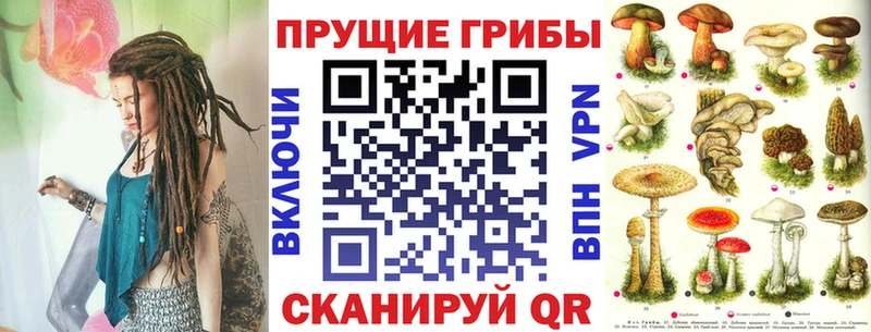 Псилоцибиновые грибы MAGIC MUSHROOMS  Купить  Бикин 